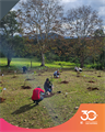 bosque do trabalhador3.jpg