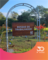 bosque do trabalhador-1.png